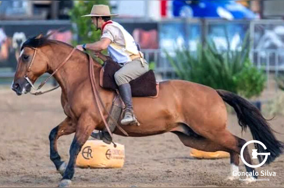 GUARANI 61 DA SORSUL