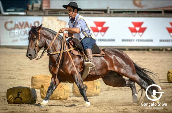 PAMPEANO DO RECANTO CRIOULO OU PENAROL DA BOA VISTA