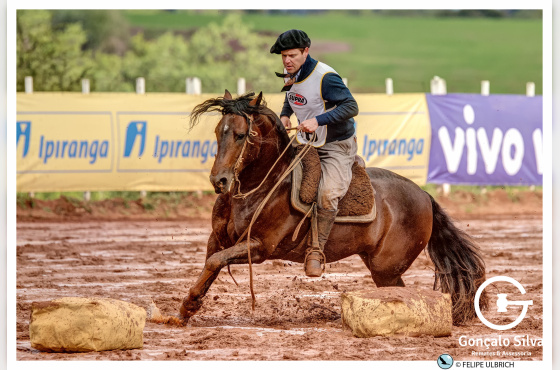 JA IMPECÁVEL - COTA DE 17,5%