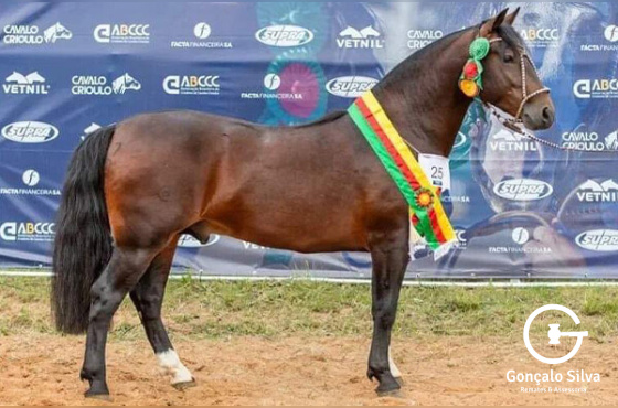 AS MALKE HECHO A MANO