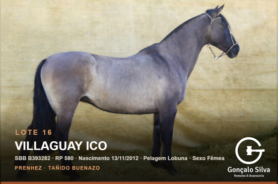 VILLAGUAY ICO 