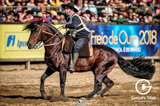 PENAROL DA BOA VISTA 