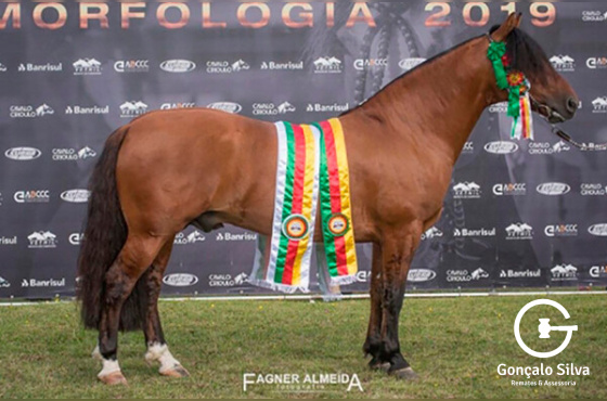 MANO A MANO DO RAUNA