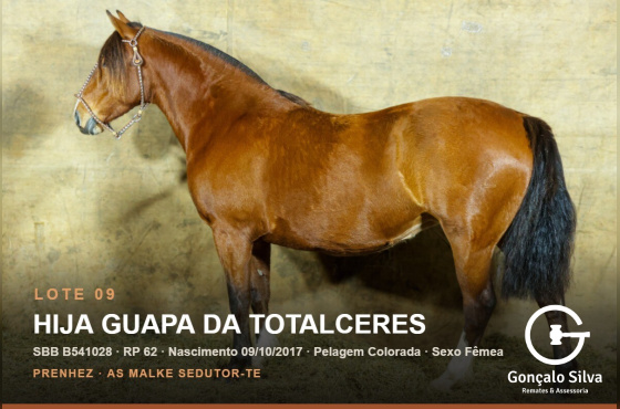 HIJA GUAPA DA TOTALCERES