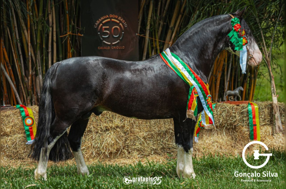 QUATRILHO  DA CABANHA  SANTA FÉ - COTA DE 5%