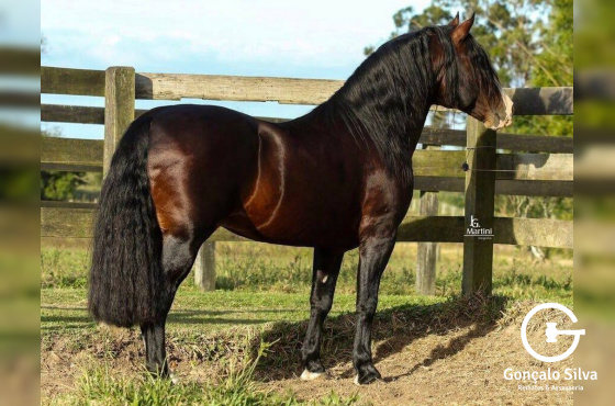 ALTO ASTRAL DE SANTA EDWIGES