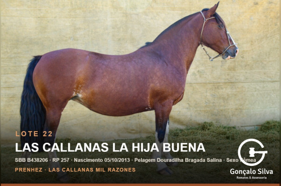 LAS CALLANAS LA HIJA BUENA