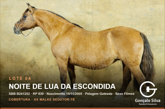NOITE DE LUA DE ESCONDIDA