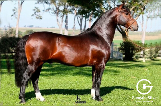 AS MALKE HECHO A MANO