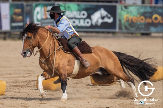 MONARCA DA DOM MANOEL