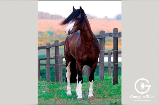 CARATUVA CAMPO SANTO