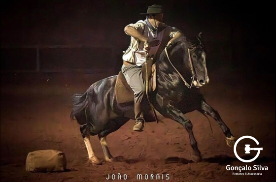 ENTREVERO DELLA TERSA