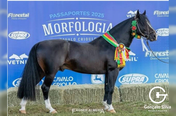 BASCO HERDEIRO