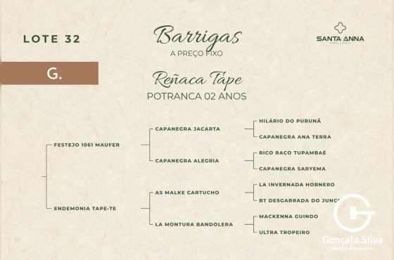 REÑACA TAPE