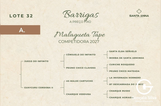MALAGUETA TAPE