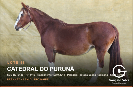 CATEDRAL DO PURUNÃ