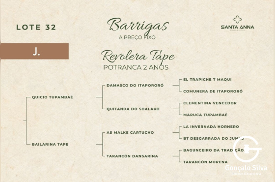 REVOLERA TAPE